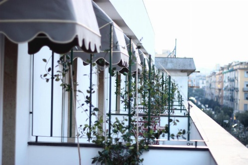 Stelle Hotel The Businest image 45